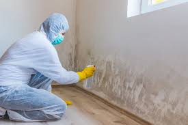 Best Mold Removal for HVAC Installations in USA